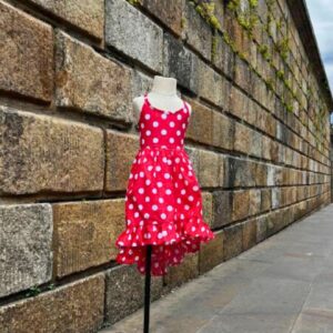 Vestido Victoria: imagen 4