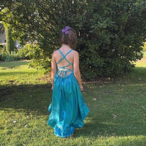 Vestido Celine: imagen 3