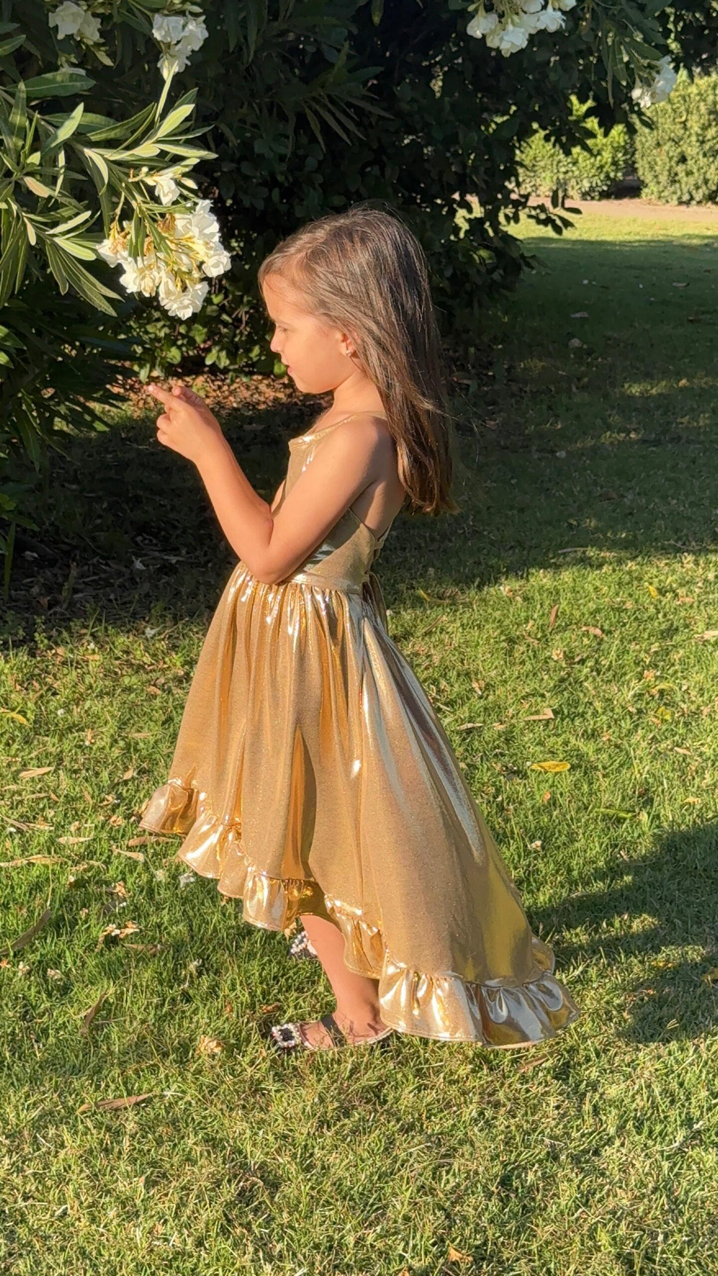 Vestido Dorado: imagen 5