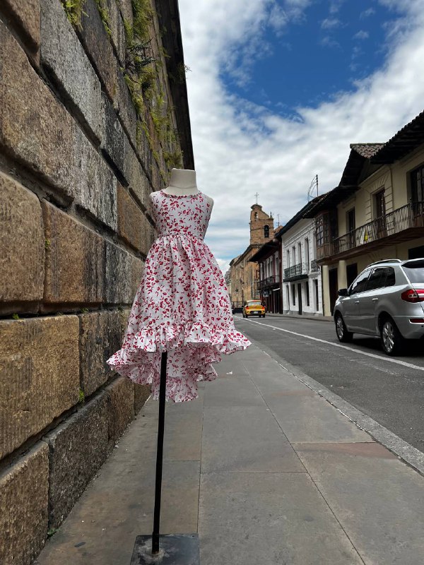 Vestido Viena